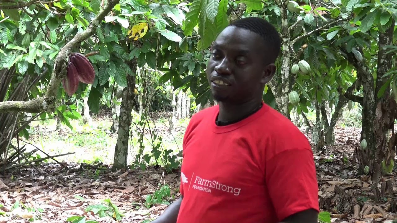 FarmStrong Foundation - CEP - Utilisation de Produits Agrochimiques
