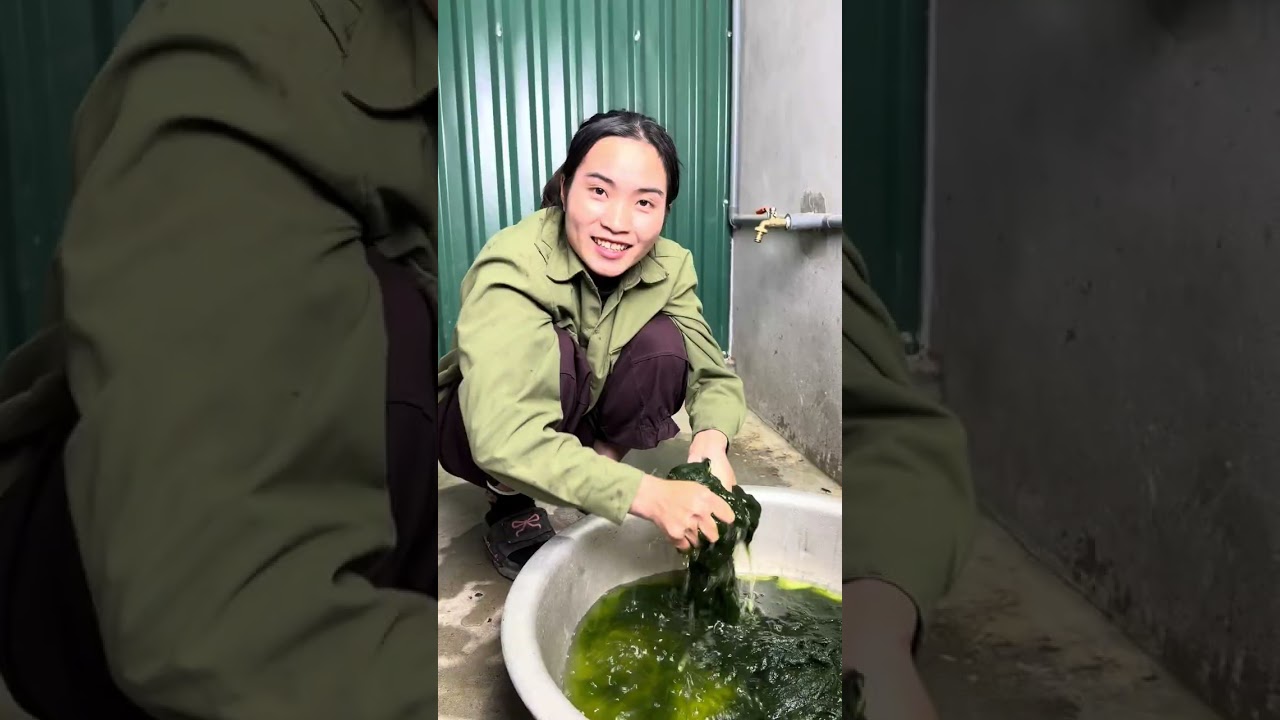 Rêu đá #trieuthimay #cuộcsốnghàngngày #food 