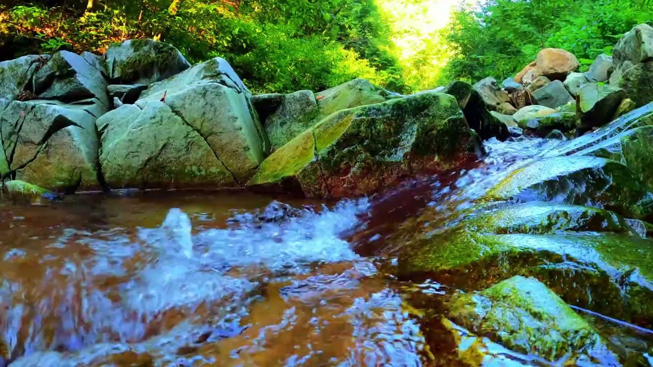 Piano Music for Stress Relief, Healing, Meditation #relaxingmusic #relax #viral #viralvideo