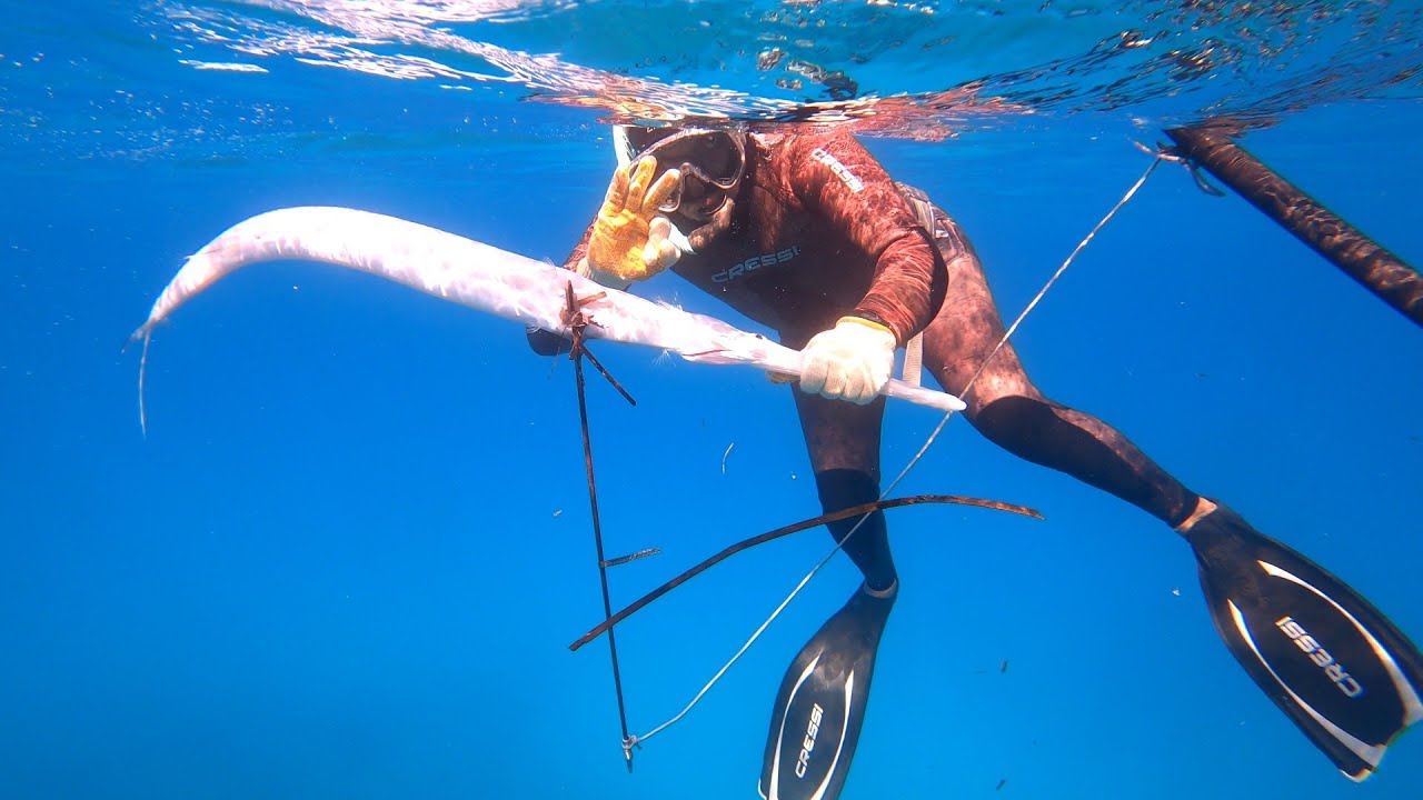 صيد السمك بالرمح في مطروح #spearfishing# كورنيش مطروح الجديد و اجمل المناطق السياحيه (عقر الشباك)