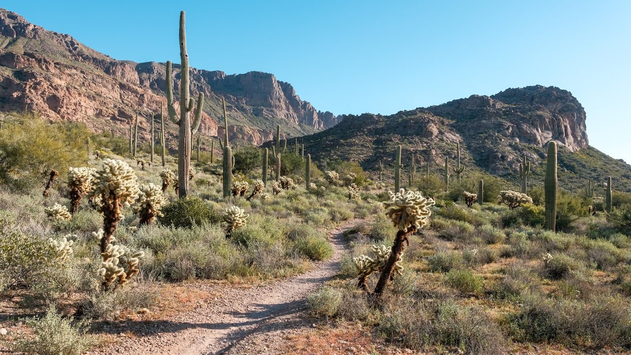 Lost Goldmine Trail, Gold Canyon 