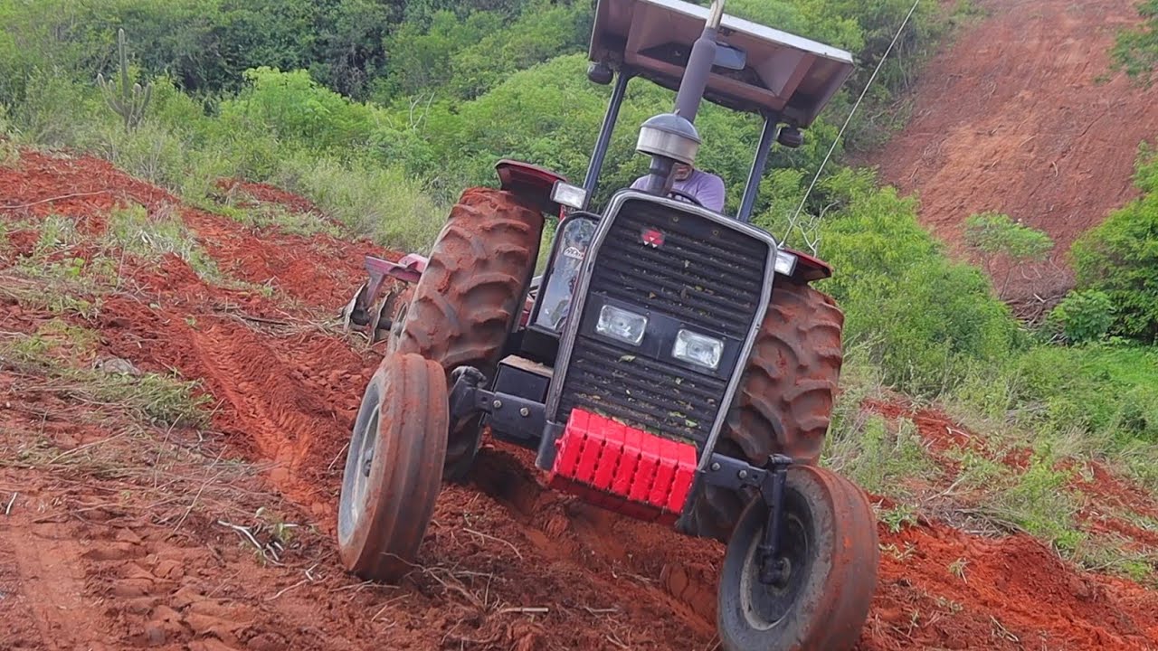 Esse tratorista é doido,foi cortar terra no trator MF 290 em uma ribançeira