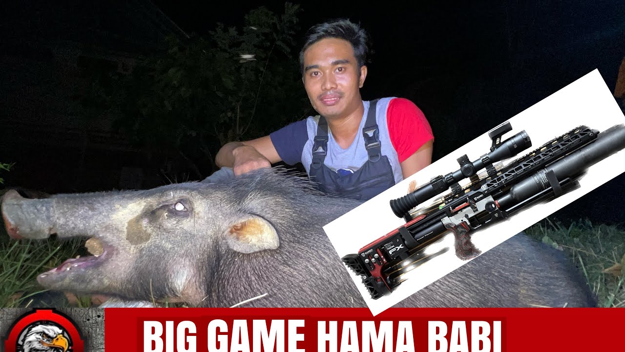 KEJERNIHAN PARD DS 35 70 RF MALAM HARI // FX IMPACT MK2