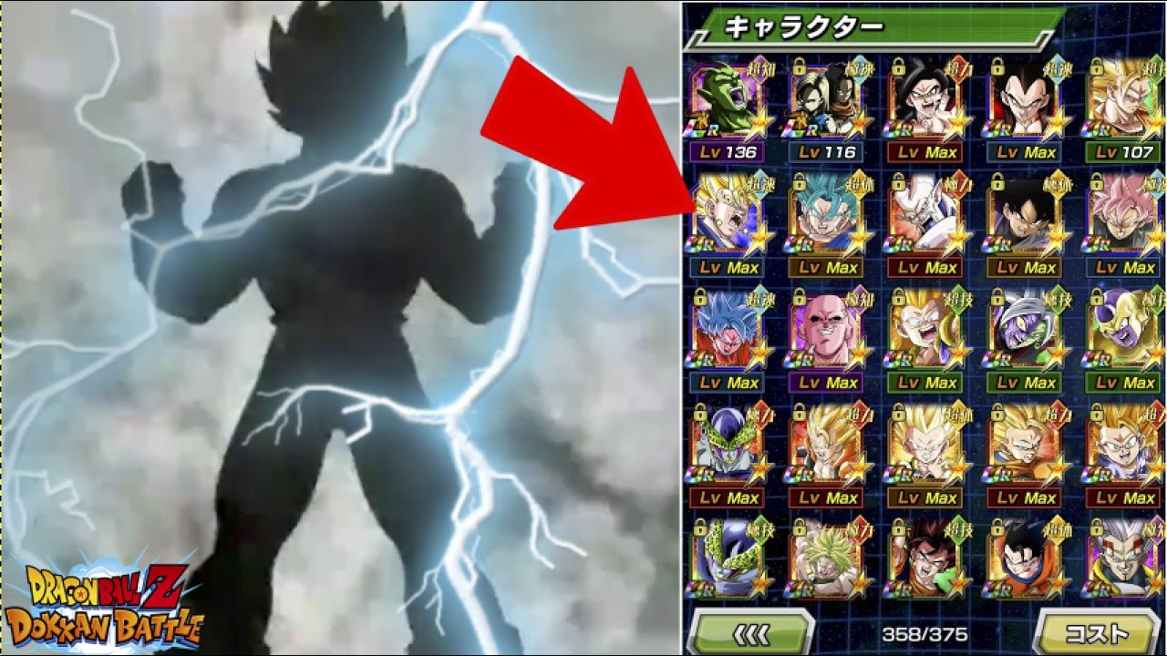 WHY DO DOKKAN YOUTUBERS ALWAYS PULL SSR'S? DRAGONBALL Z DOKKAN BATTLE!