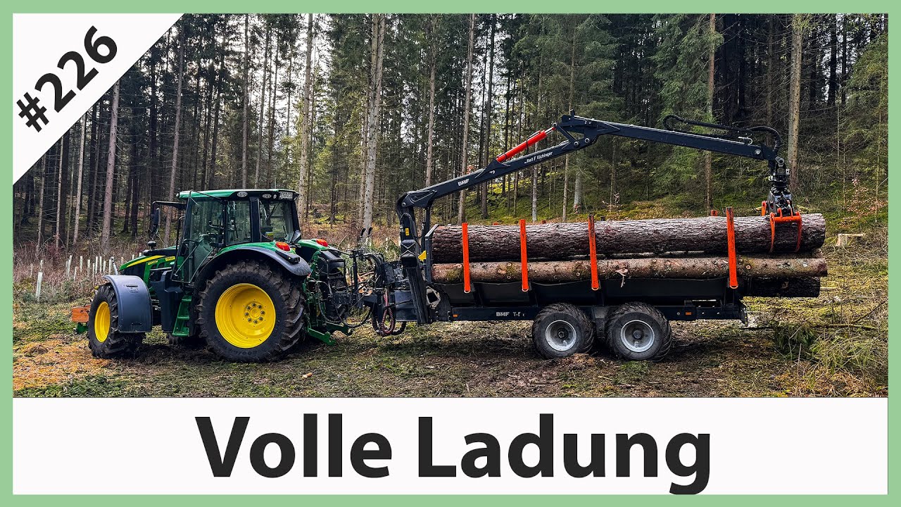3 Keile für ein Hallelujah - Fichte hängt falsch