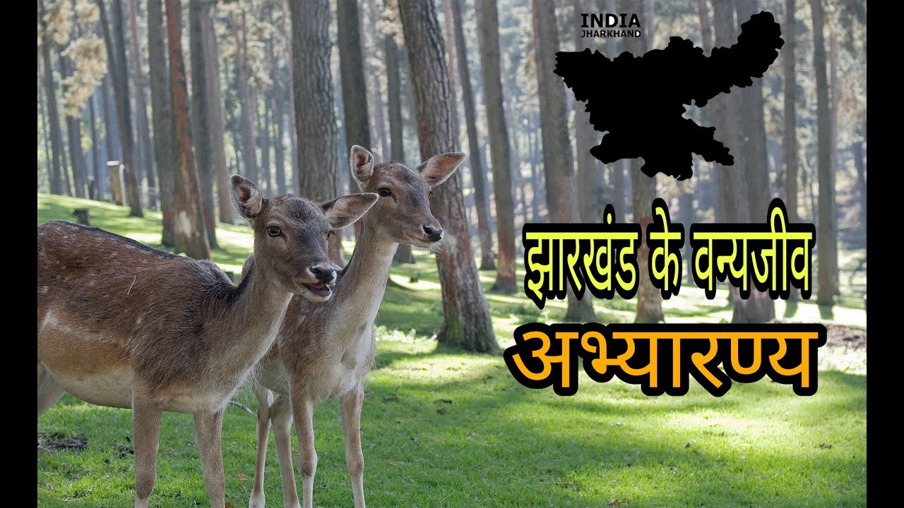 wildlife sanctuary in Jharkhand/झारखंड के सभी वन्यजीव अभयारण्य/