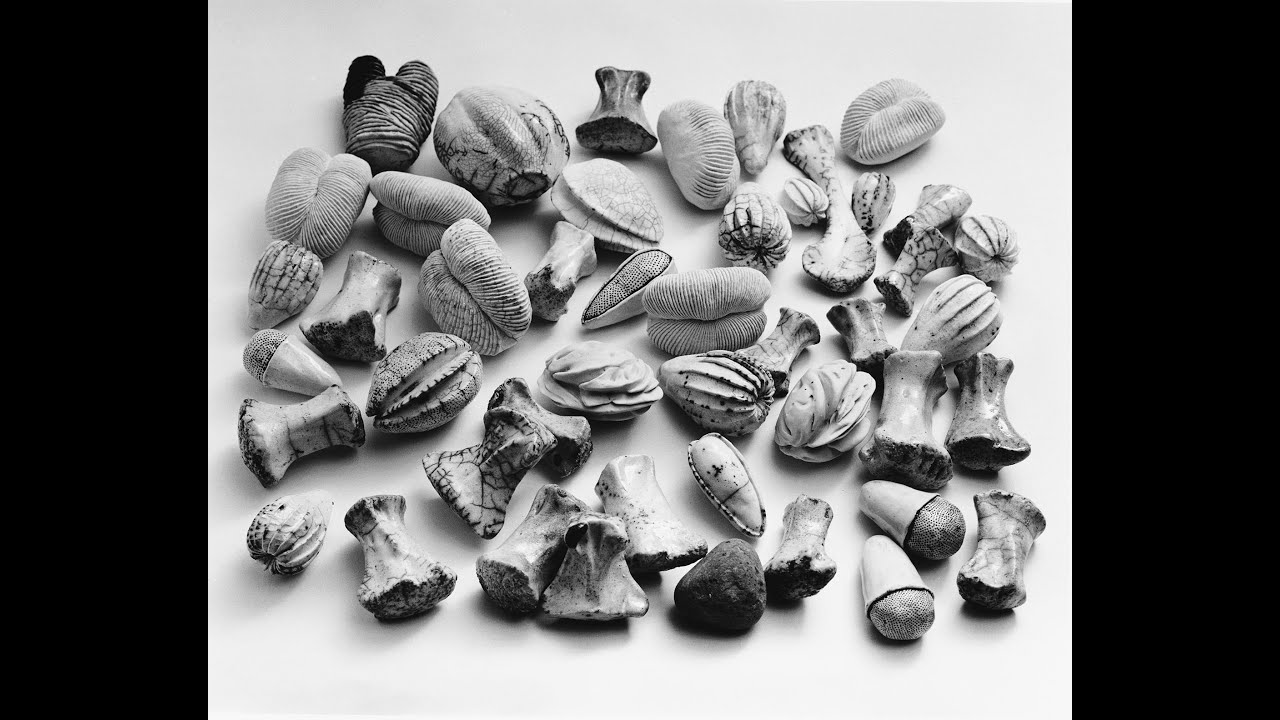 “The Palm at the End of the Mind: A Visit with Michele Oka Doner”        Wandering Eye Studios