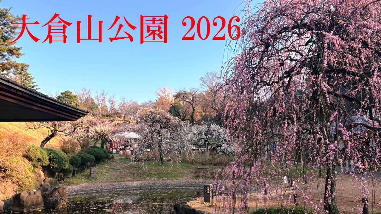 大倉山公園 2026