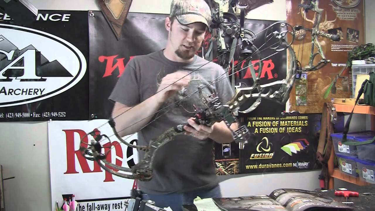 2011 Bow Review: Bear Carnage