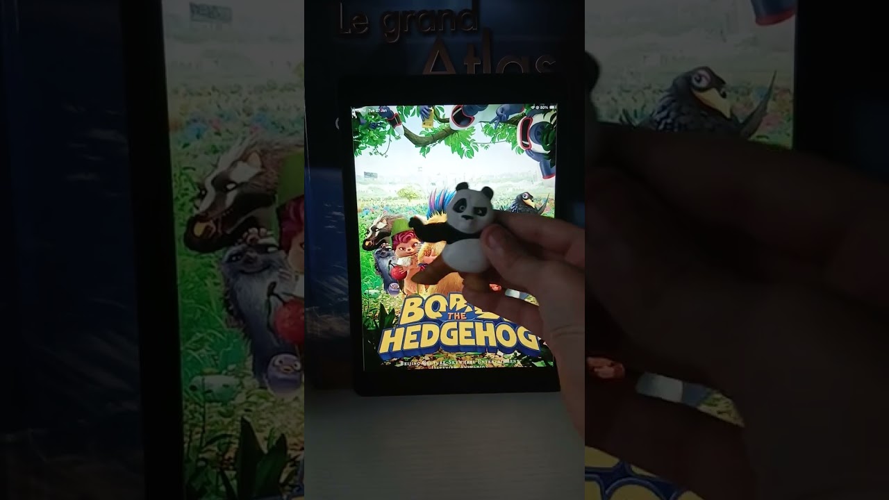 KUNG FU PANDA RANTS ON BOBBY THE HEDGEHOG 