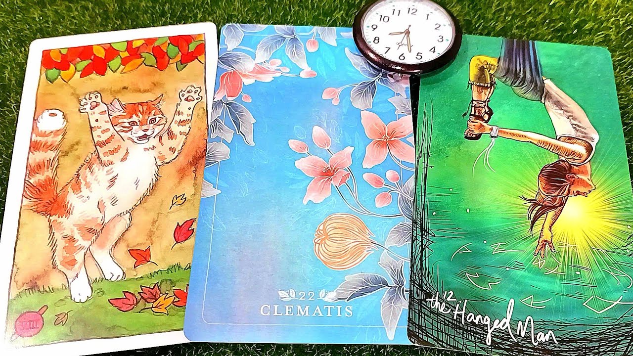 Ai Đó Nhận Thấy Bạn Rất Đẹp Siêu Dễ Thương Và Họ Đơn Giản Muốn Thương Bạn Được Không😆💋💌🫦🫶⚘️🥂🍒🫒🥨🥯🌄🌅