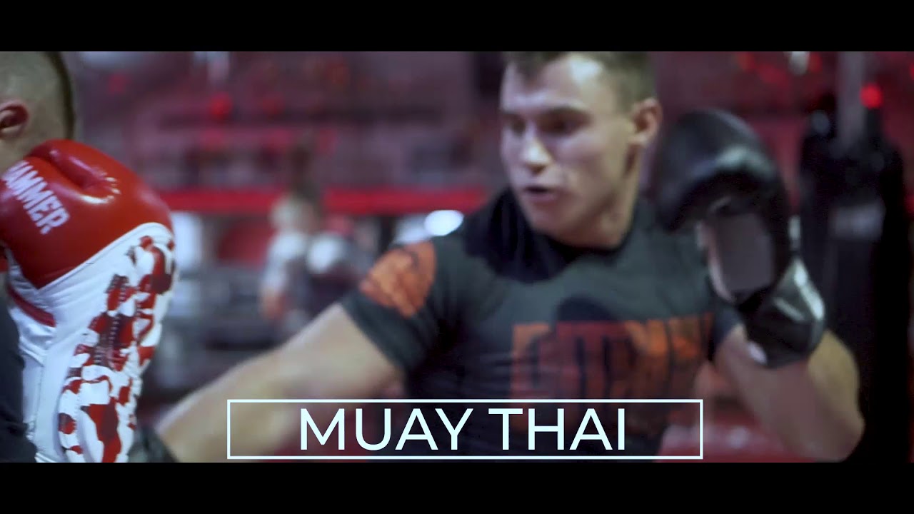 HALNY Kickboxing Muay Thai Boks 2018