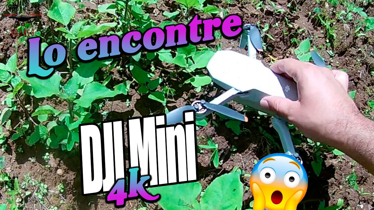 TUTORIAL Como encontrar tu DRON PERDIDO 🚁 DJI Mini 4k 😱 search and rescue 😭 choque accidente 💥sirve?
