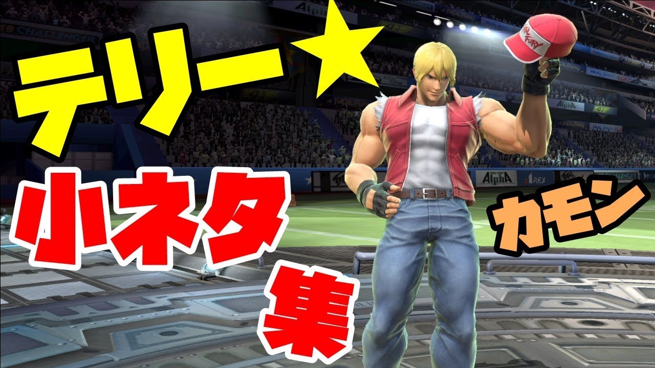 テリー・ボガード小ネタ集【身体測定】【スマブラSP】【体重】【最後の切り札】