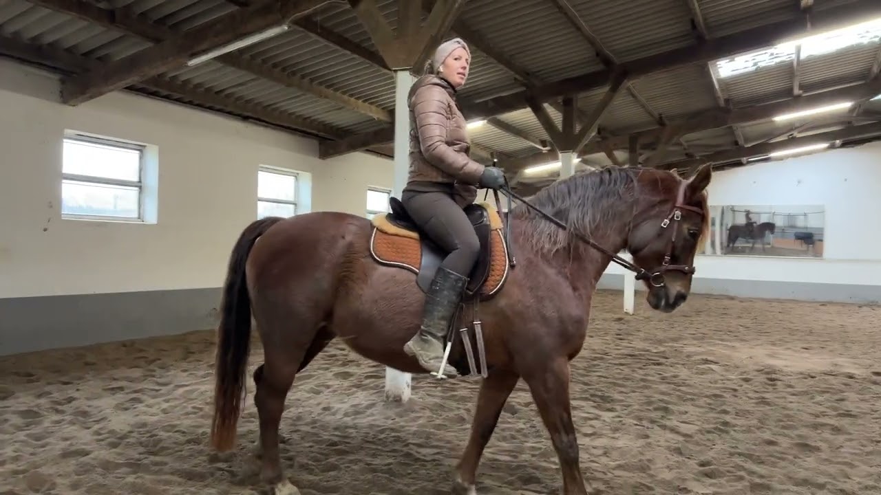 TRAINING mit Farah live Kommentar