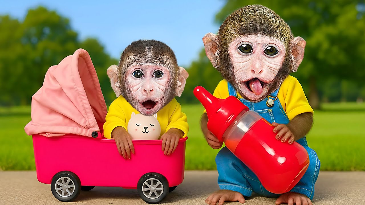 Macaco Dodo cuida do Bonbon e fica preso na máquina de refrigerante