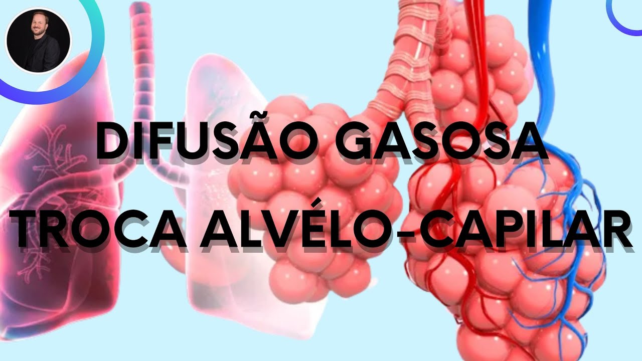 Difusão gasosa - Troca gasosa alvéolo-capilar