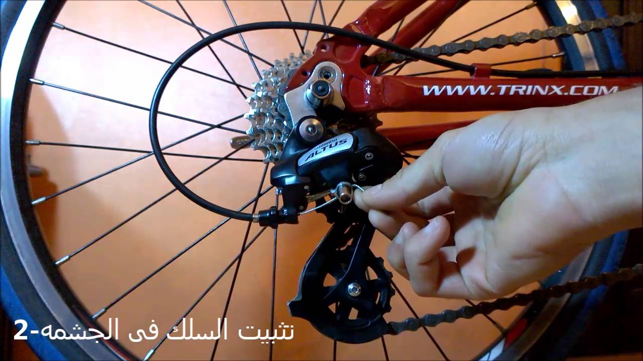 بالعربى عجلة 