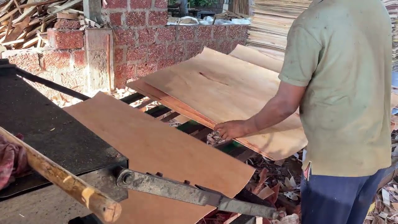 Fastest Machine Wood Rolling Sawmill👌🌲| Wood To Plywood Making Systemic Machine 🔥🪵|