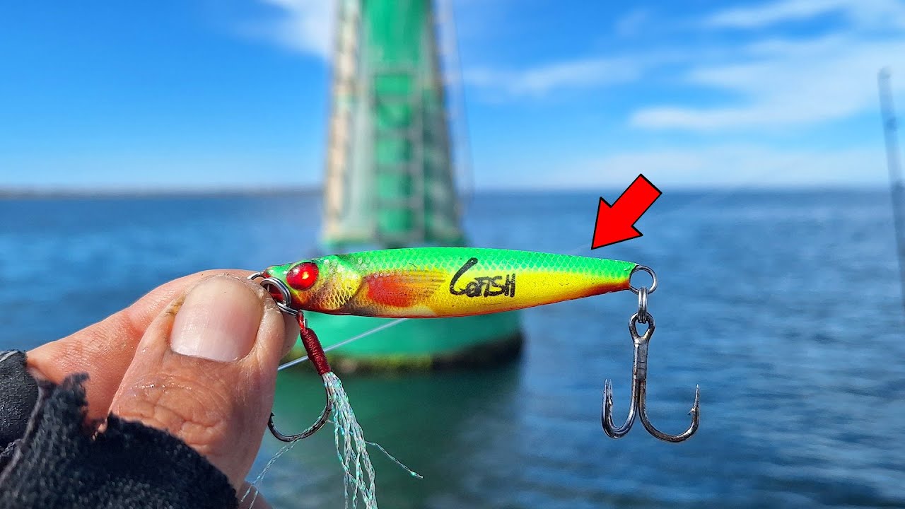 EXPLORANDO Y BUSCANDO PESCA DE FONDO