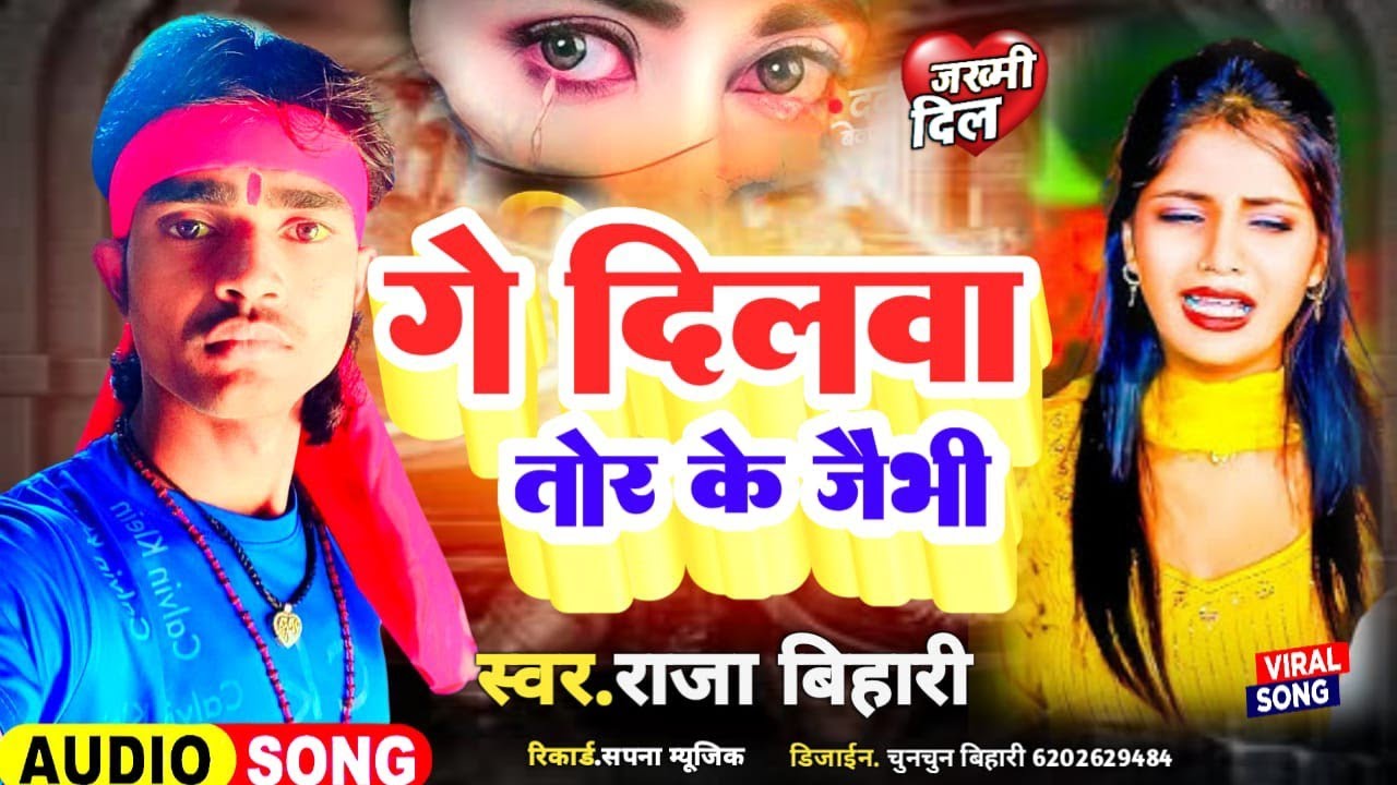 Sad Song 2026|गे दिलवा तोर के जैभी|Raja Bihari New Sad Song|Bewafai Song 
