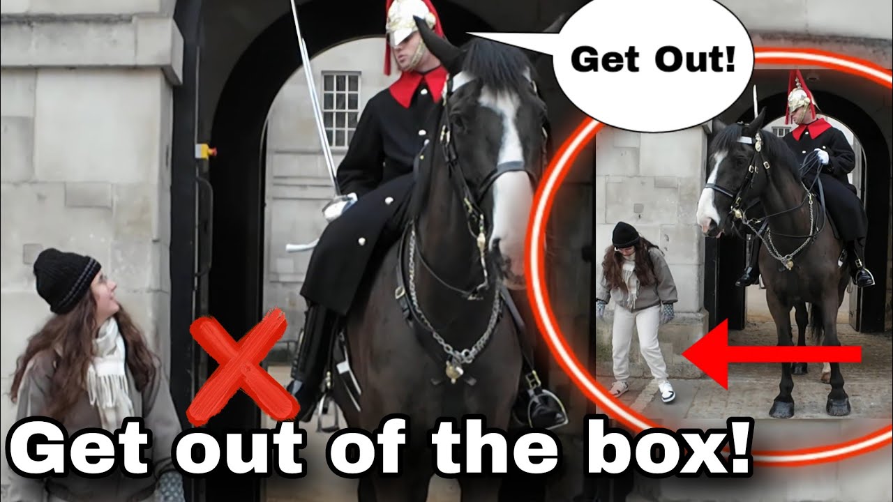 CLUELESS tourist walked straight to the box and gets what she deserves!