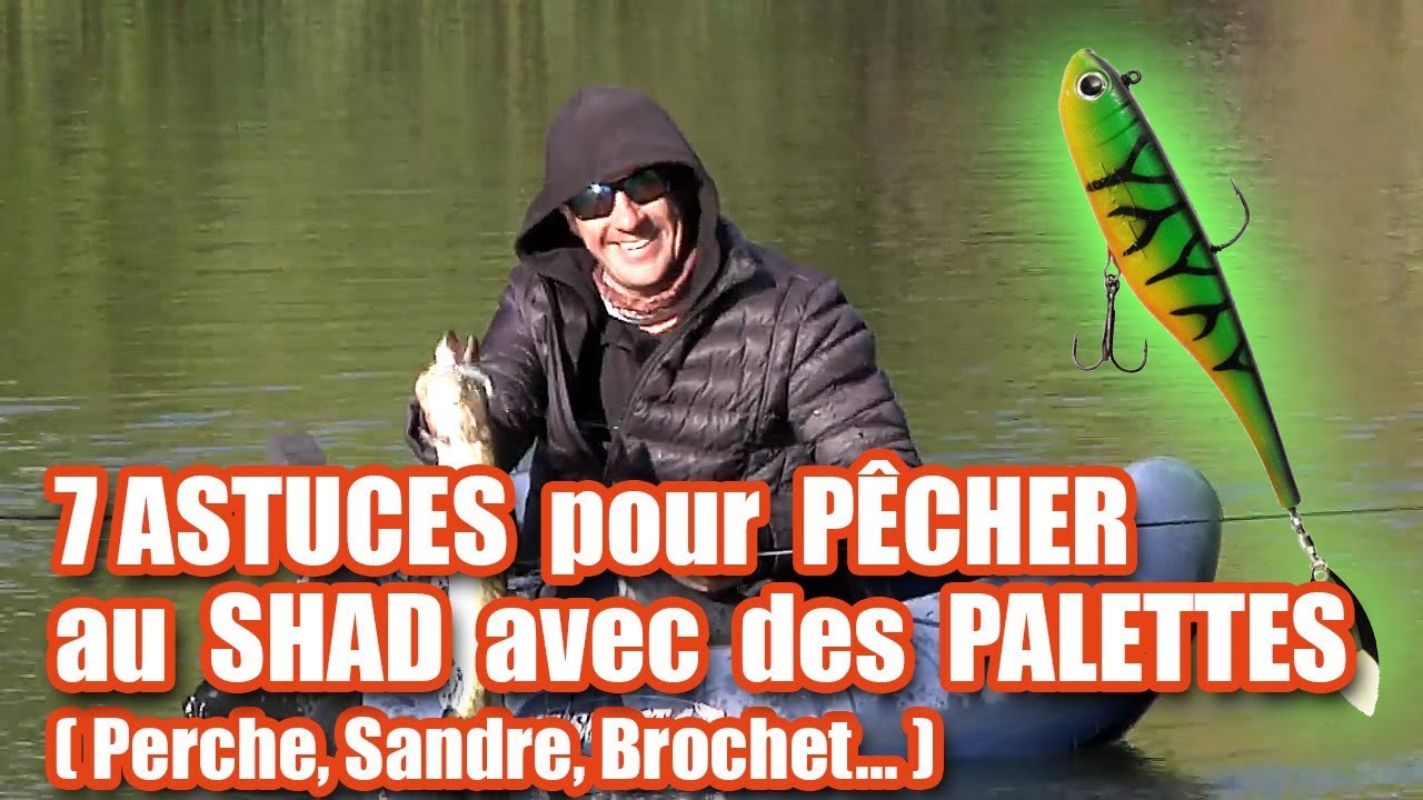 7 ASTUCES pour PECHER au SHAD avec des PALETTES