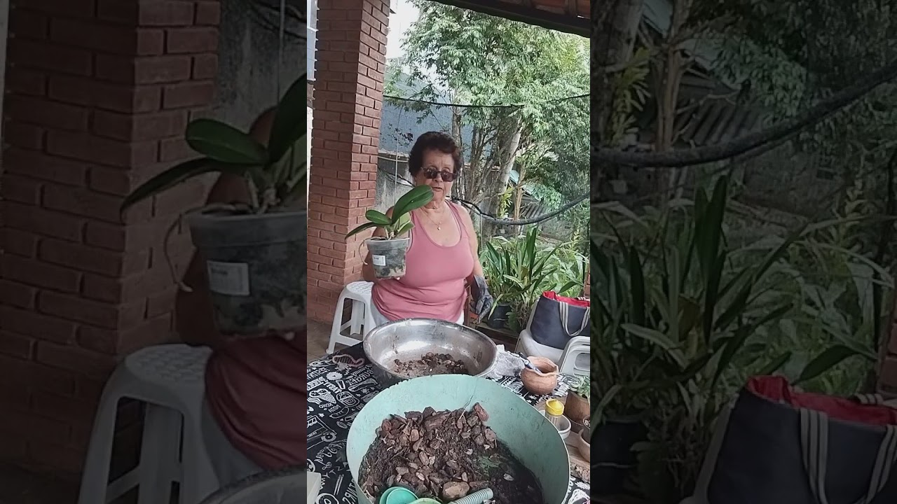 Hoje é dia de replantar.