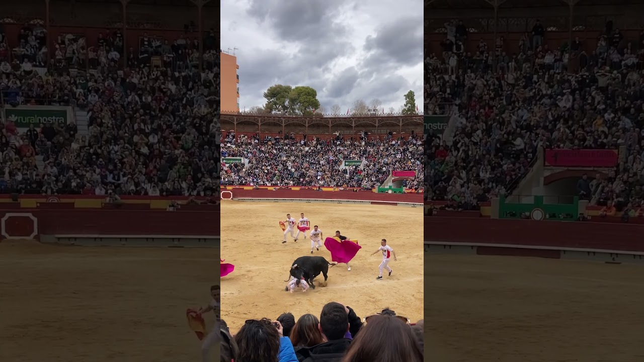 Cogida a Mario Alcaide en el concurso de recortadores, Castellon 2024 #toros #fiesta #toros #susto