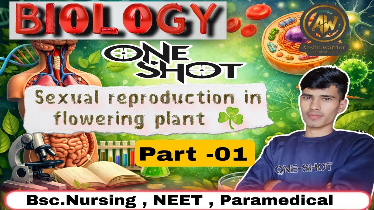 Sexual Reproduction in Flowering Plants Class 12 Biology | One Shot Full Chapter Revision