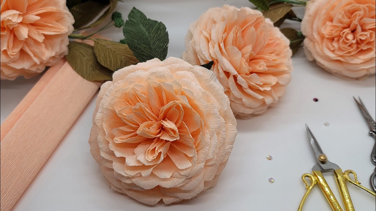 Crepe Paper English Rose (David Austin Rose)