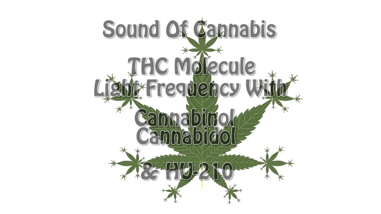 Sound Of Cannabis  - THC Molecule Frequency ( With Fractal Leaf Visuals )