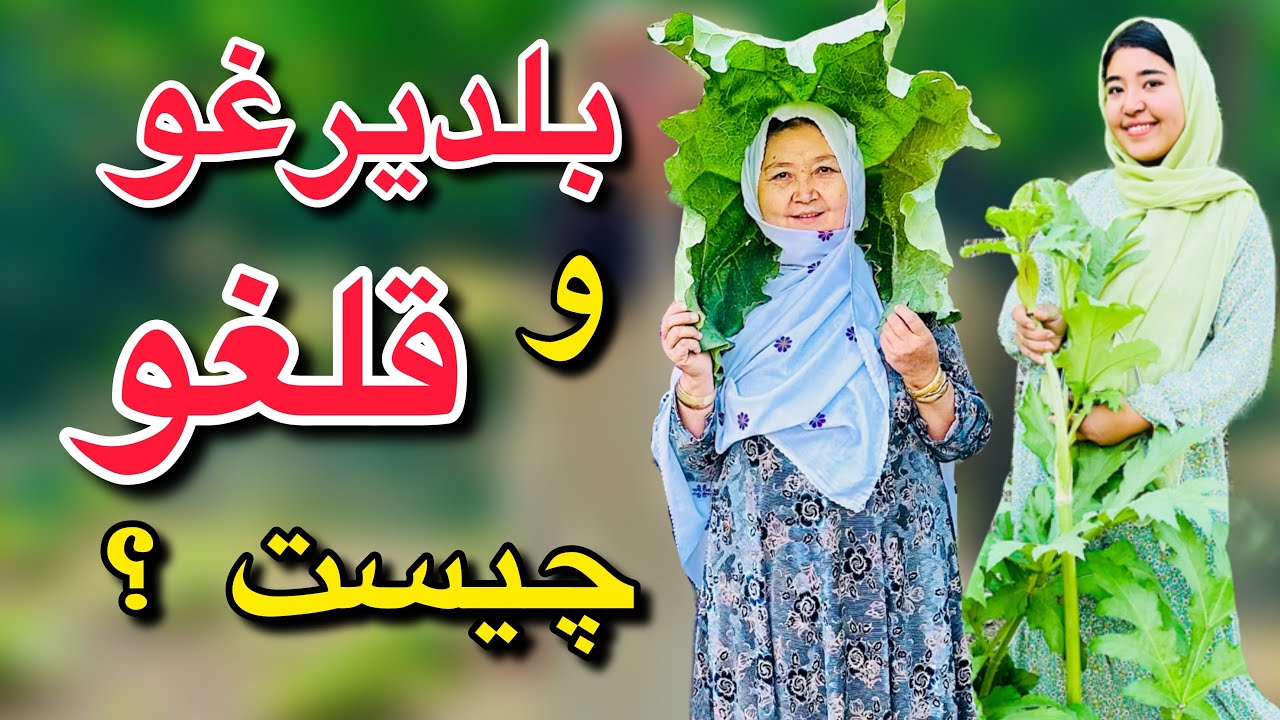 طبیعت زیبای جاغوری…| بلدیرغو و قلغو خوردیم …