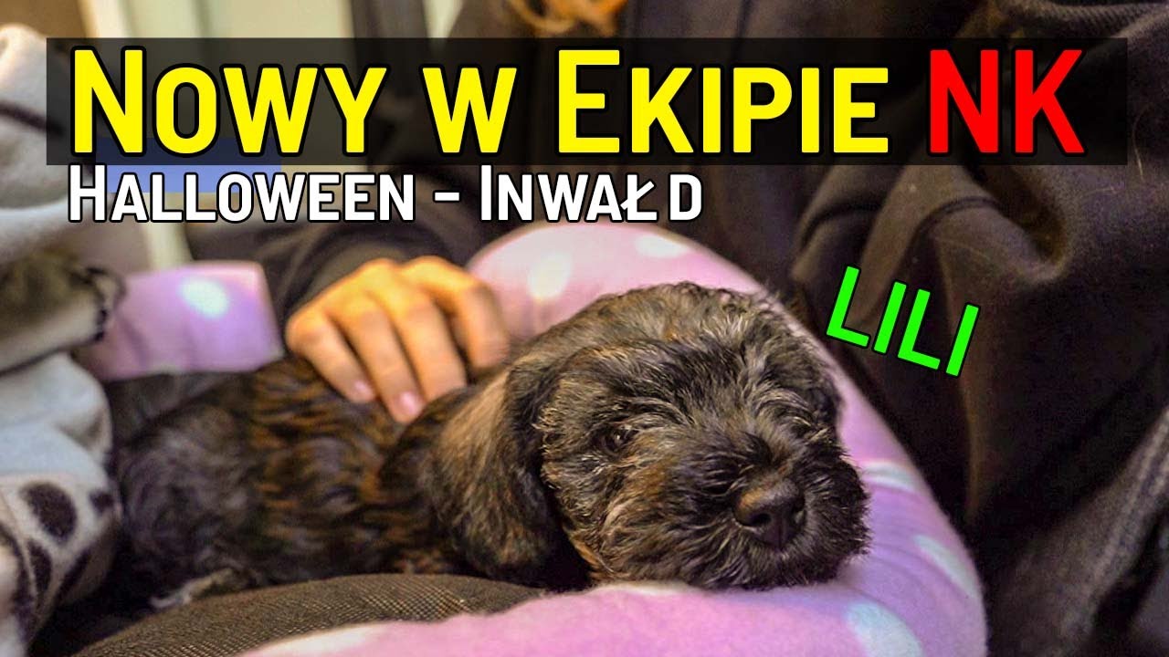 NOWY w EKIPIE NK 