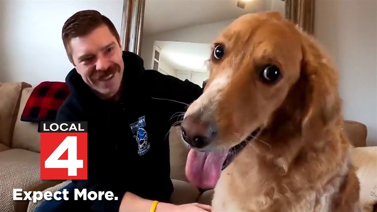 When a hero needs a hero: Dog stops Detroit firefighter's suicide attempt