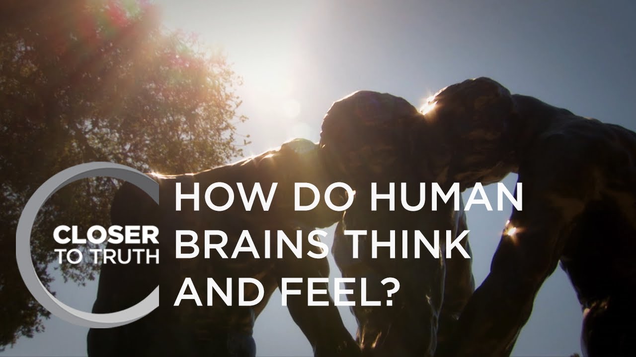 How Do Human Brains Think and Feel? | Episode 501 | Closer To Truth