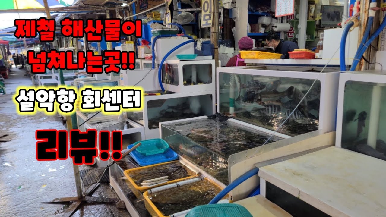 12월이 제철인 해산물이 정말 많은 설악항 리뷰!!