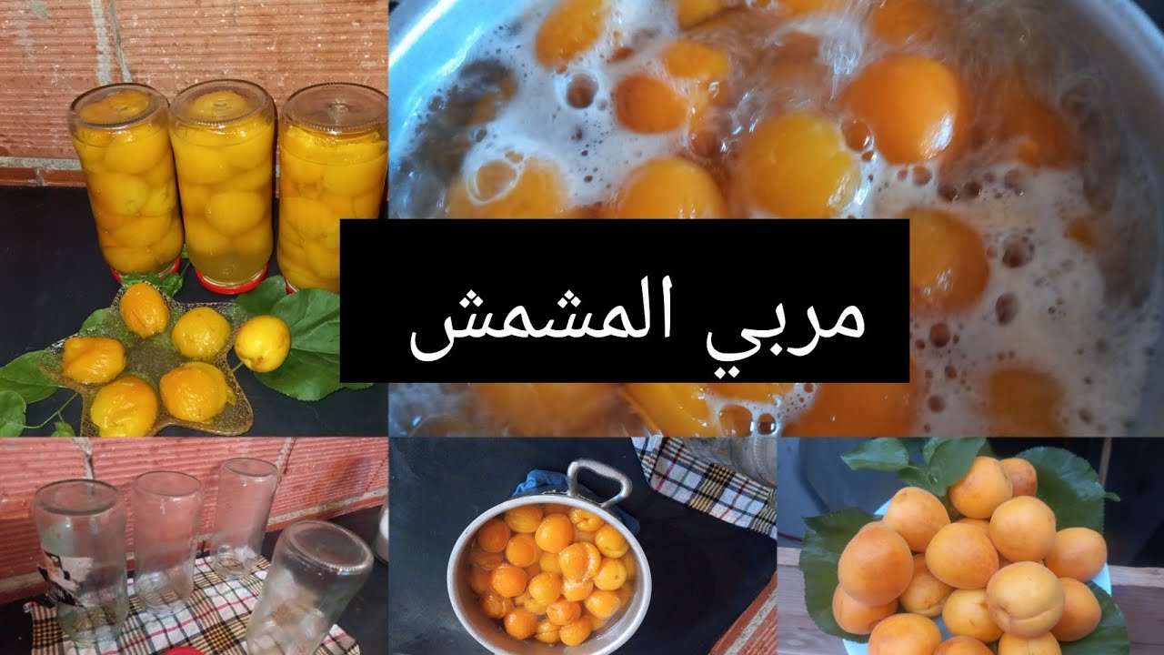 مربي المشمش علي حبة مع طريقة تخزين بدون ثلاجة ناجح 💯