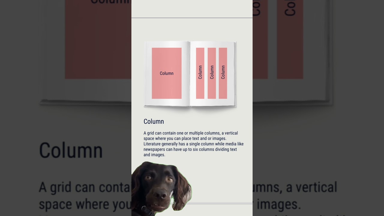 Grids & Layout: thefutur.com/course/grids-and-layout