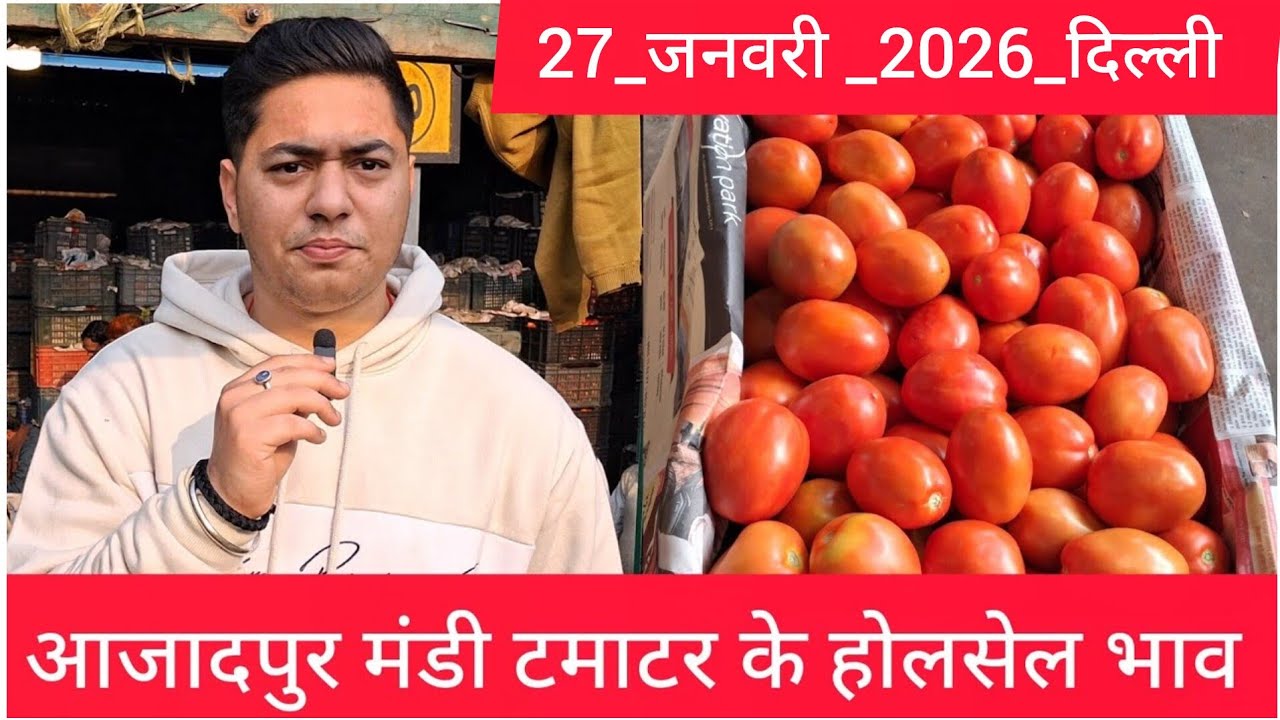January 27, 2026 दिल्ली 🍅टमाटर के भाव azadpur Delhi mandi today #tomatomarket #delhitomatomarket