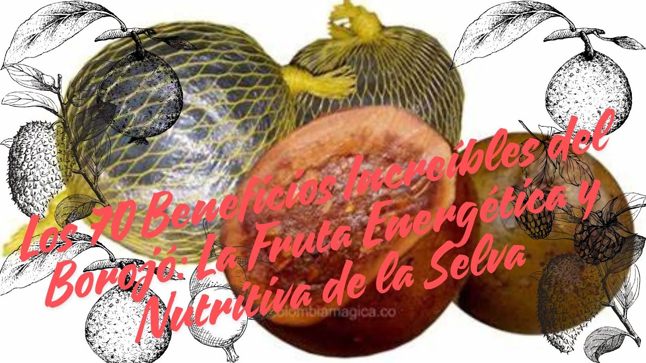 Los 70 Beneficios Increíbles del Borojó: La Fruta Energética y Nutritiva de la Selva