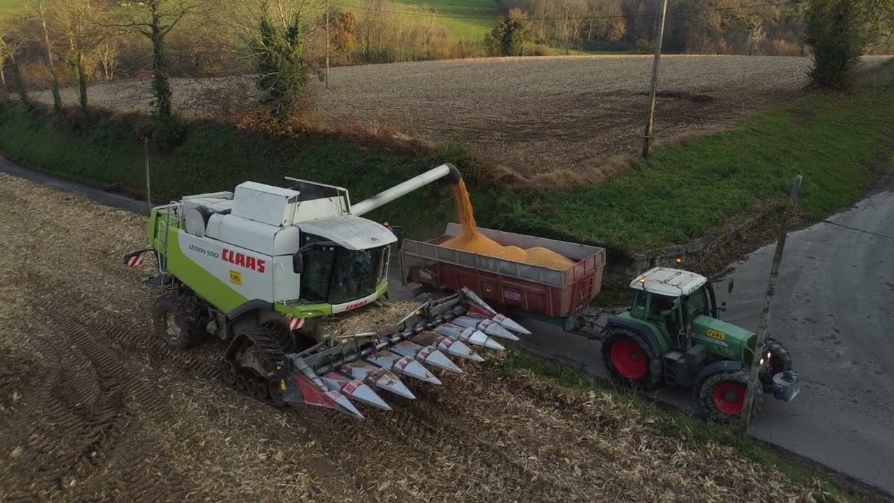 Battage de maïs et broyage  Eta TUAL