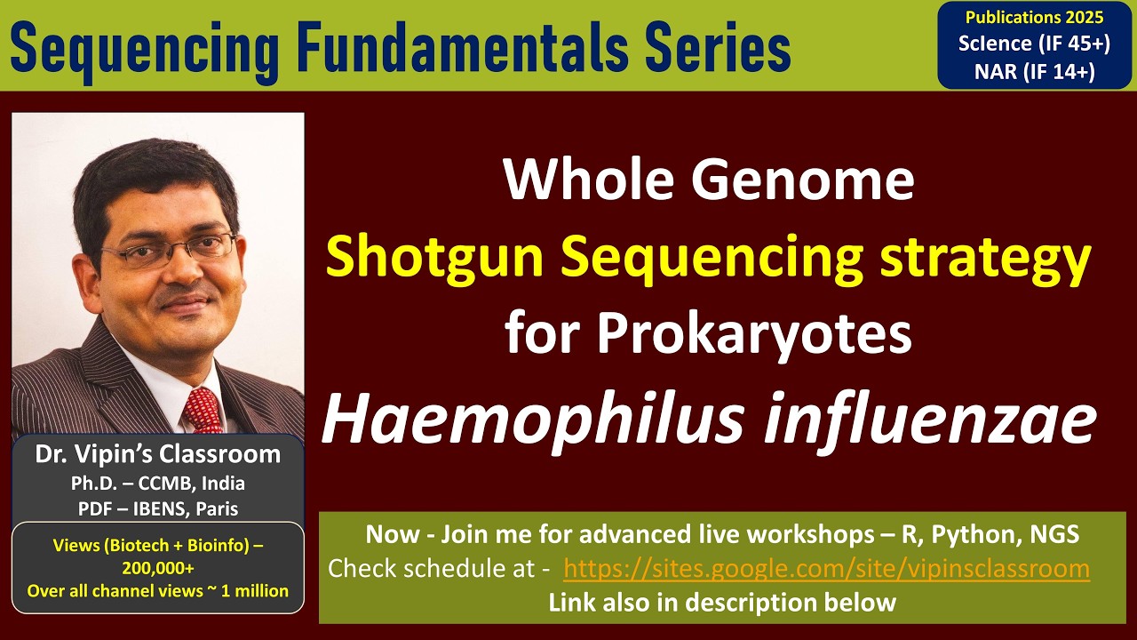 GE11 -Sequencing Haemophilus influenzae - Whole Genome Shotgun Sequencing #wgs #assembly #gaps