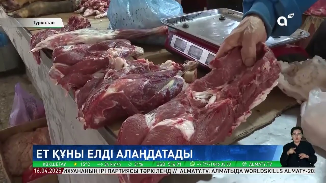 Елде ет бағасы неге қымбат