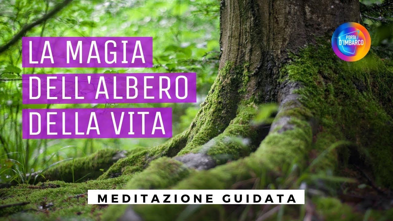 LA MAGIA DELL' ALBERO DELLA VITA /Meditazione guidata