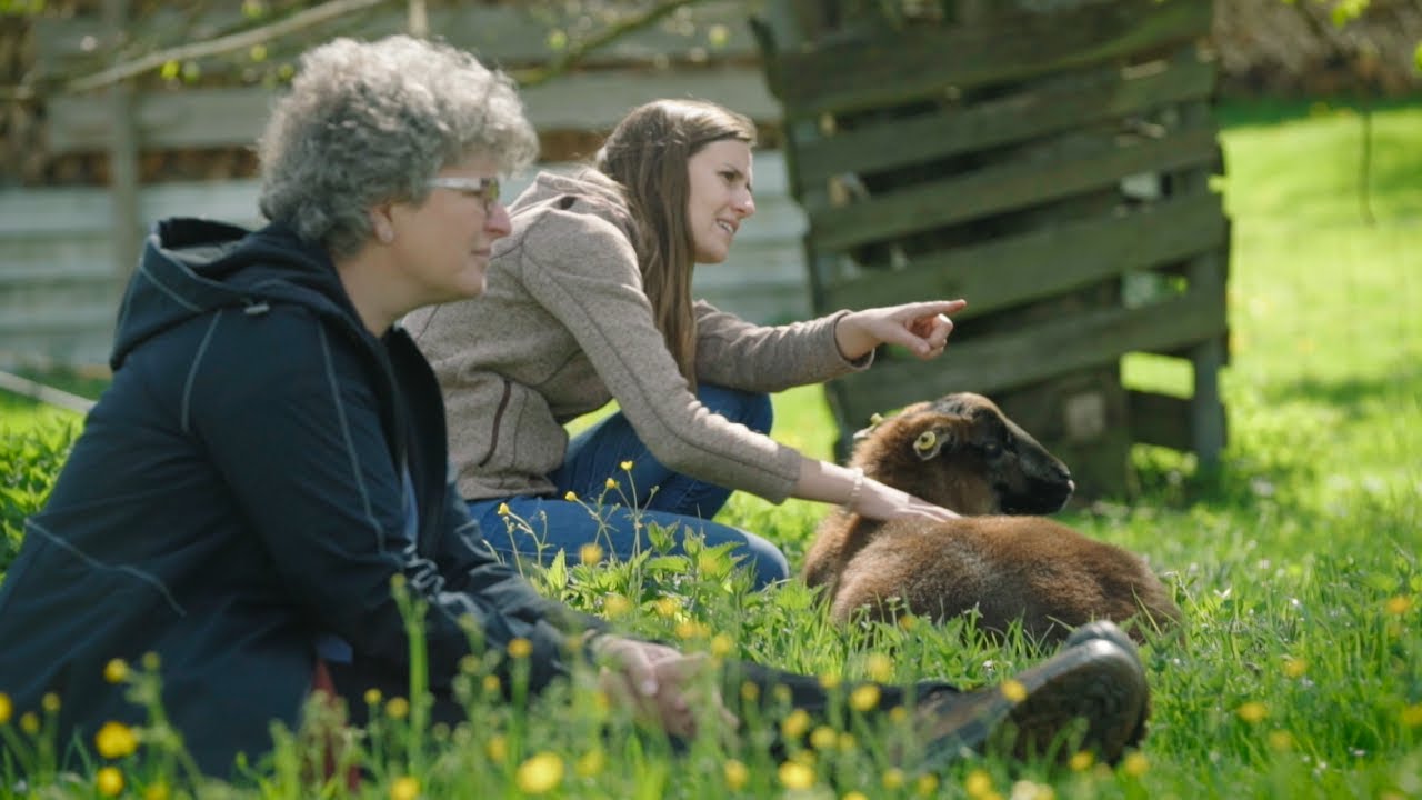 Weiterbildung zur Fachkraft für Tiergestützte Arbeit auf dem Bauernhof!