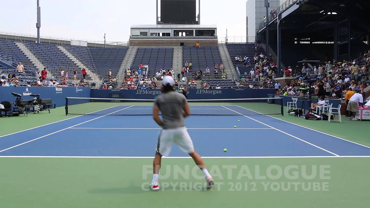 Fernando Verdasco 2012  1 / 4