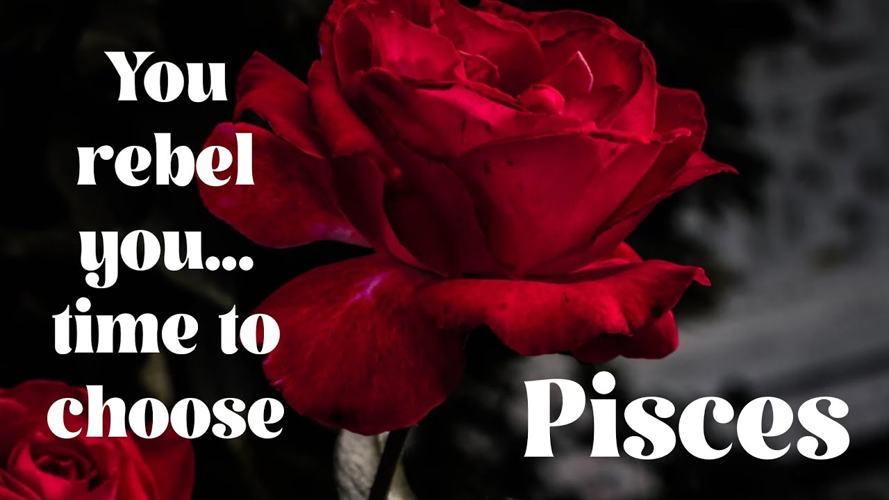 Pisces 💖💖 it’s time to celebrate you… 💖💖