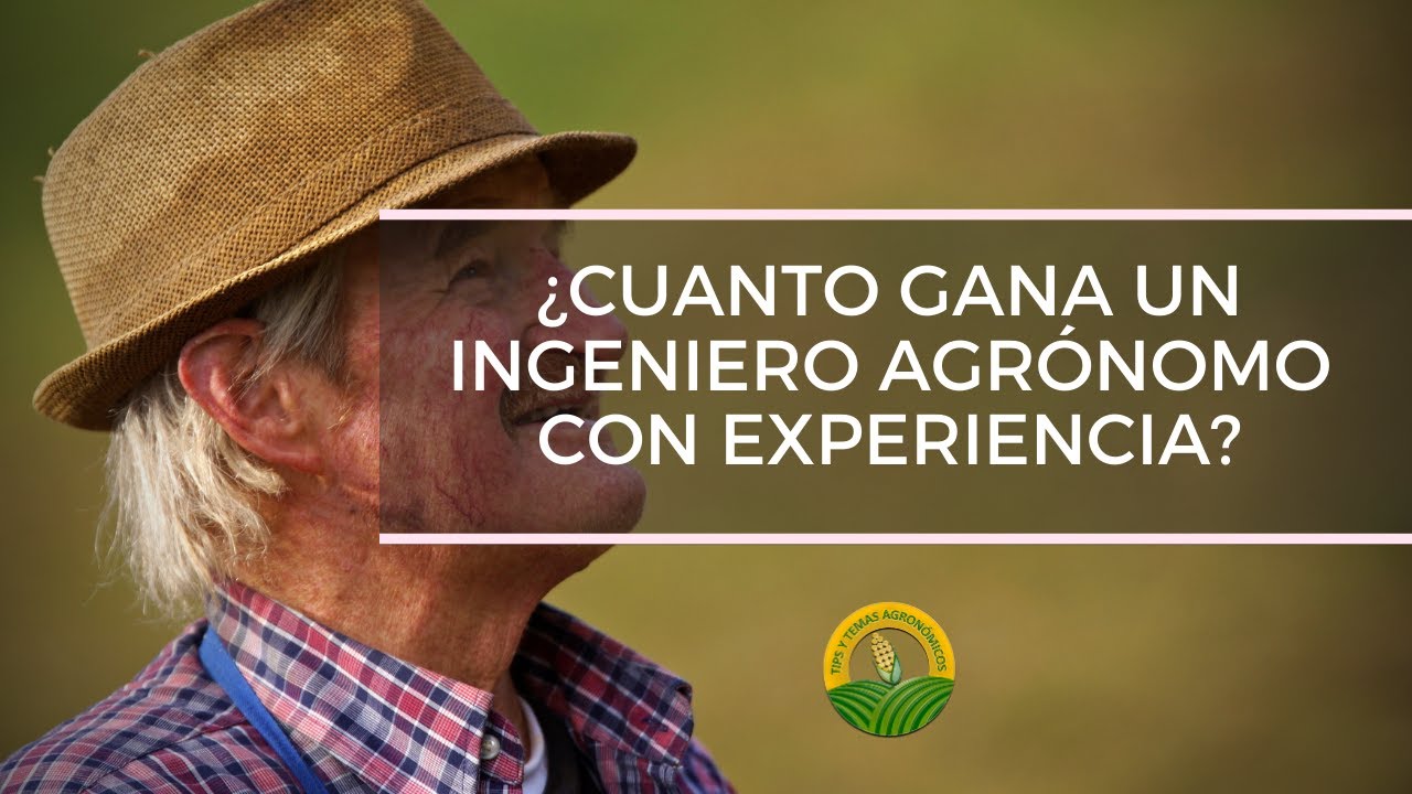 ¿Cuanto gana un ingeniero agronomo con experiencia?