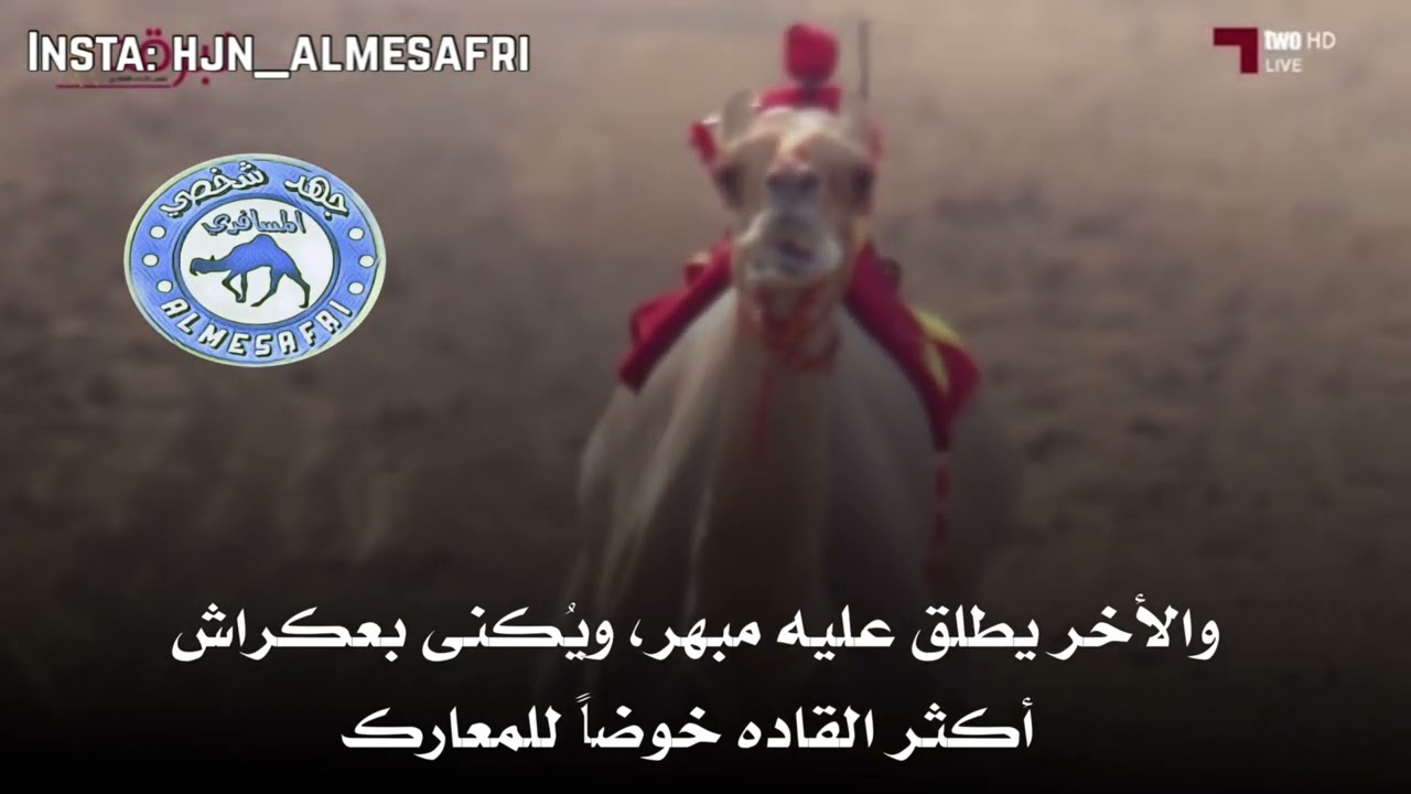 القادة الأربعة ( رعد - منهي - مبهر - المهندس ) تحت لواء هجن مرغم .